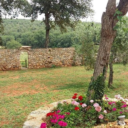 La Tenuta Di Castelvecchio サン・ジミニャーノ エクステリア 写真