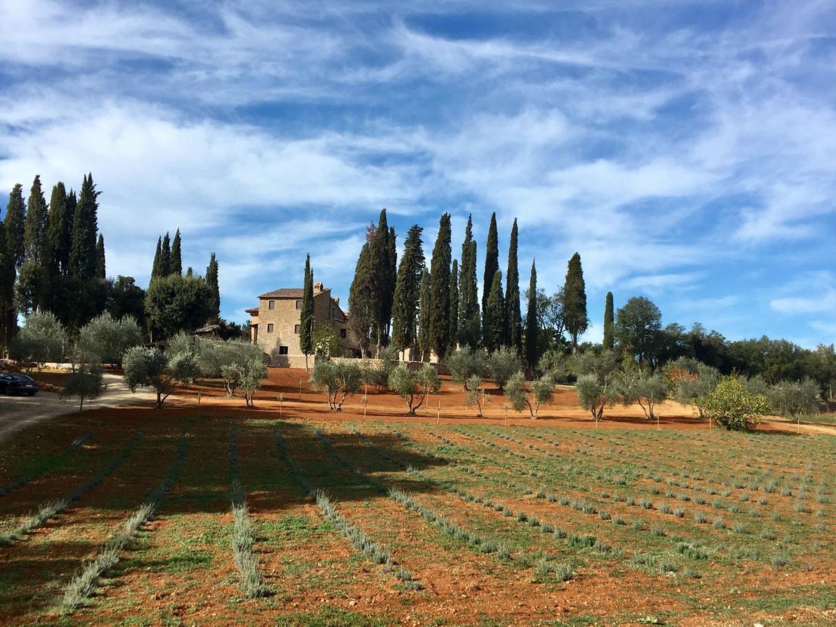 La Tenuta Di Castelvecchio サン・ジミニャーノ エクステリア 写真